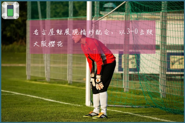 名古屋鲸展现精妙配合，以3-0击败大阪樱花