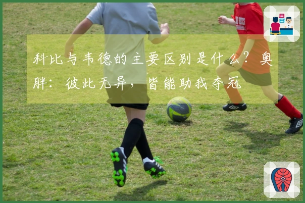 科比与韦德的主要区别是什么？奥胖：彼此无异，皆能助我夺冠