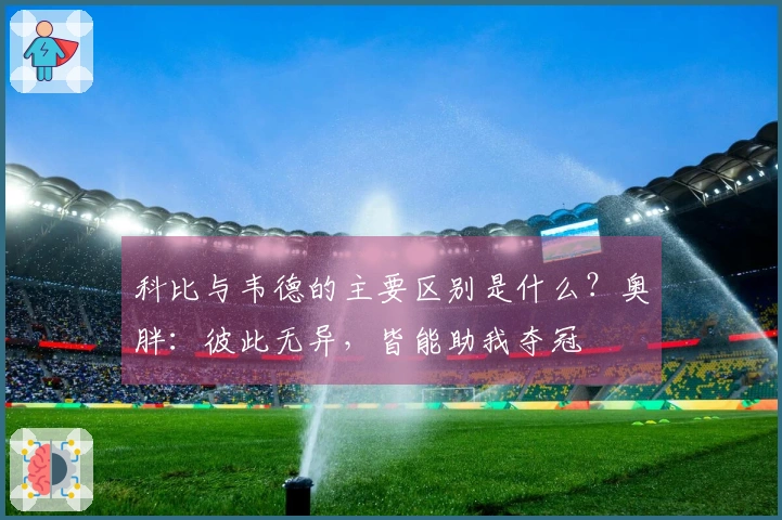科比与韦德的主要区别是什么？奥胖：彼此无异，皆能助我夺冠